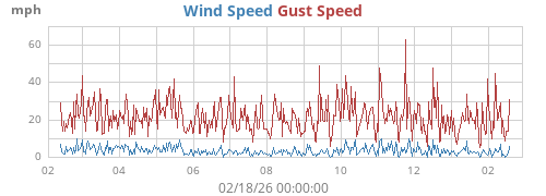 yearwind